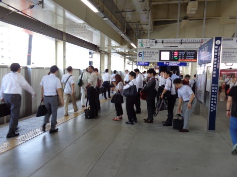 La discipline japonaise