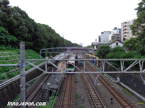 Harajuku train