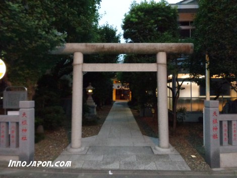 Torii