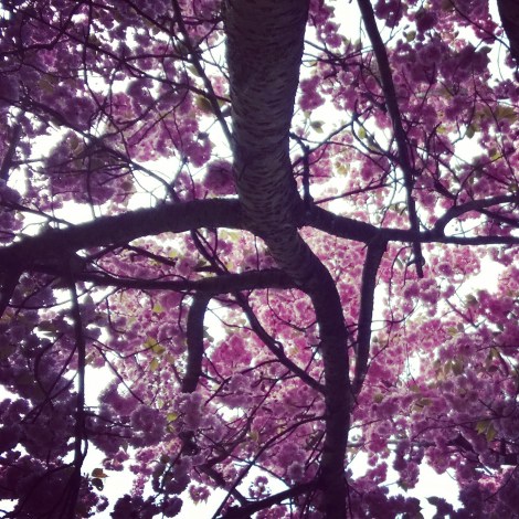 6tag_070414-145331[1]