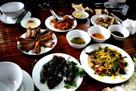 Nourriture de serpent !