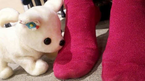 un robot chien pour les pieds